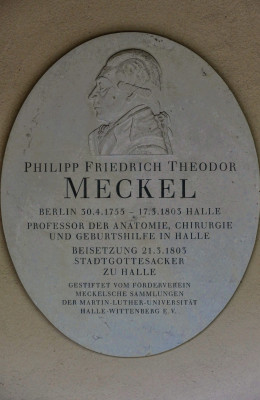 Stadtgottesacker: Meckel-Platte